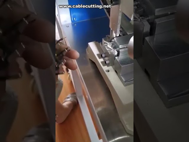 Polautomatický krimpovací stroj pro 2kolíkovou EU zástrčku | Efektivní výroba kabelových svazků