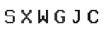 Verification Code Image