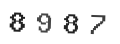Verification Code Image